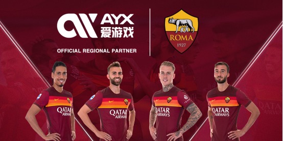 了专业性
